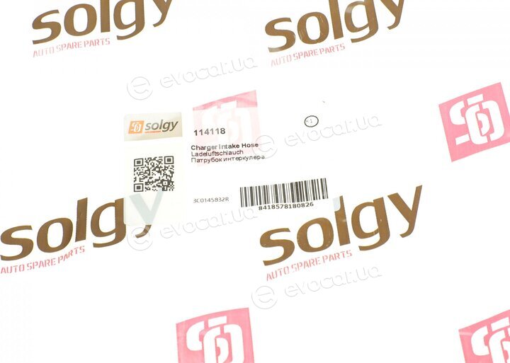 Solgy 114118