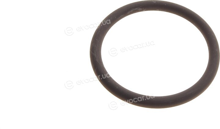Elring 527.250