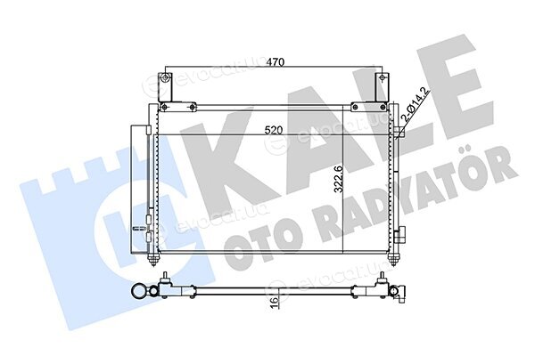 Kale 345165