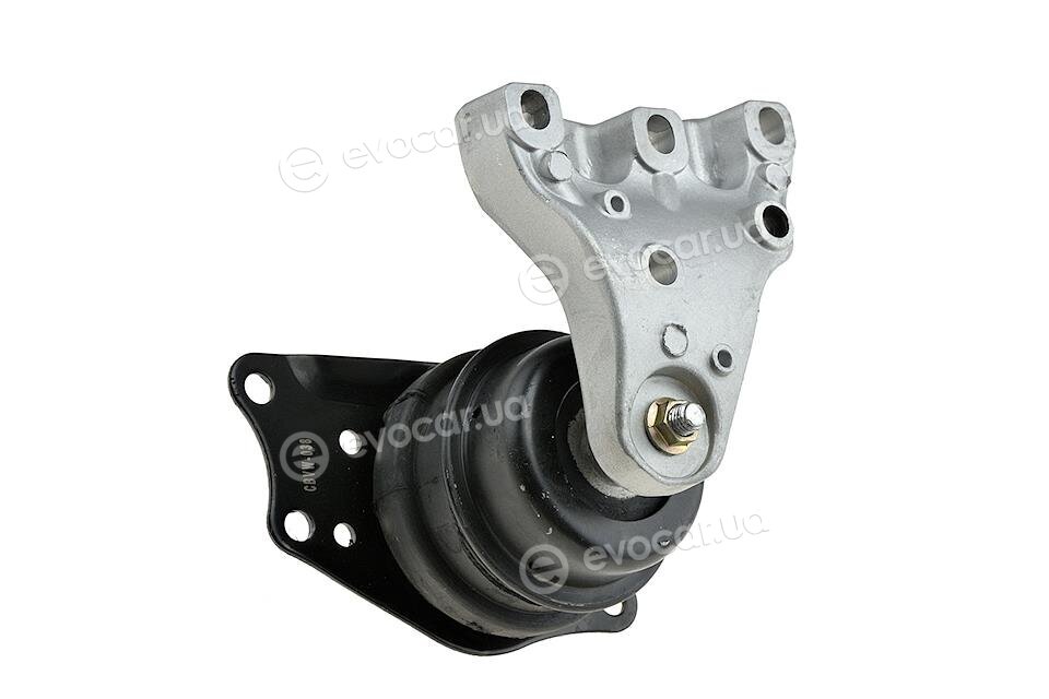 NTY ZPS-VW-038