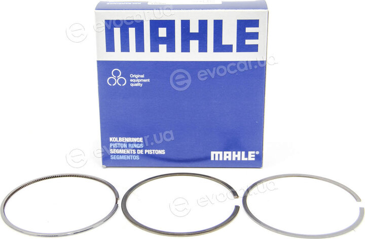 Mahle 033 19 N0