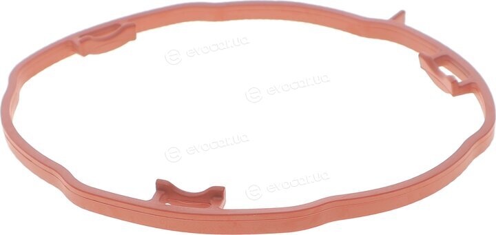 Elring 456.960