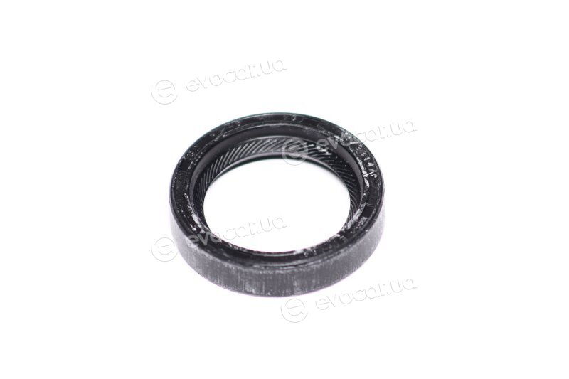 Elring 303.291