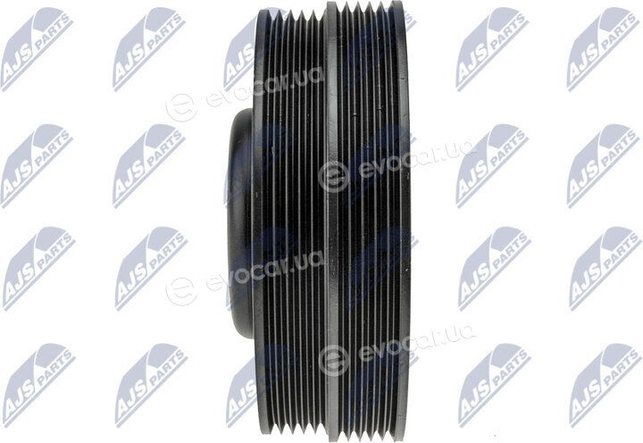 NTY RKP-MS-007