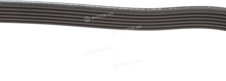 Dayco 6PK1765