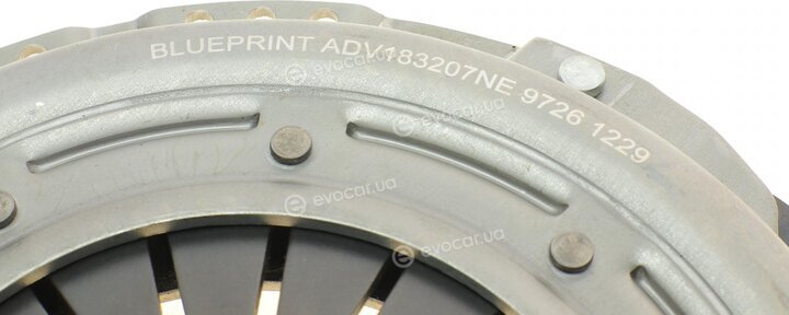 Blue Print ADV183016