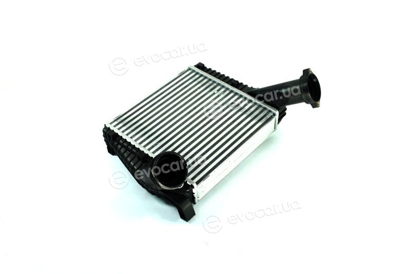 Van Wezel 58004234