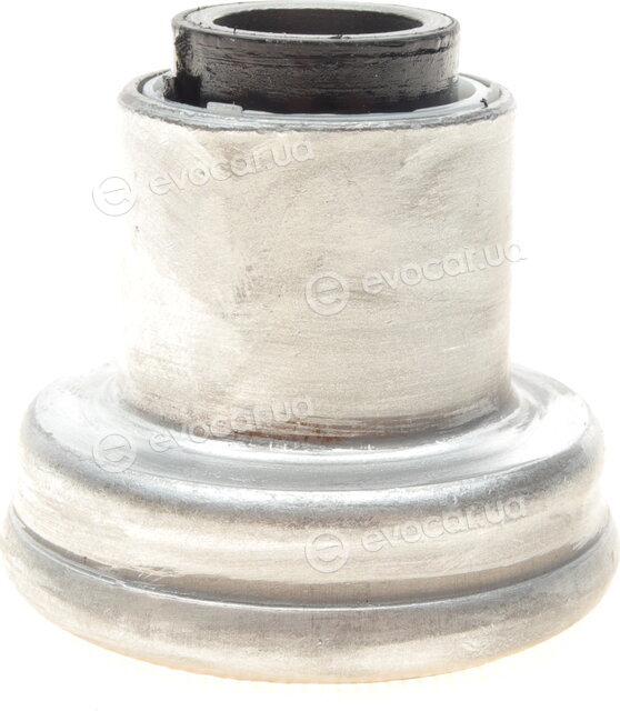 AIC 50244