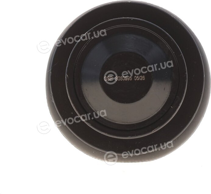 GSP S080695