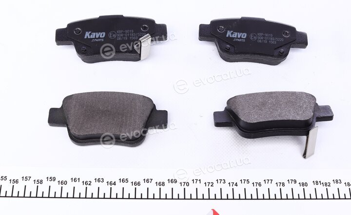 Kavo KBP-9019