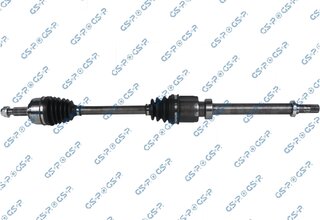 GSP 204119