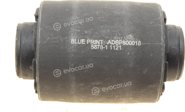 Blue Print ADBP800018