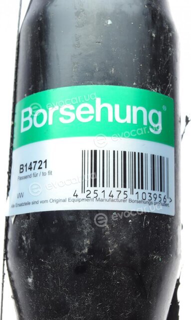 Borsehung B14721