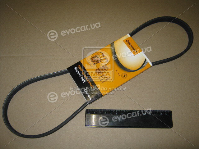 Continental 4PK905