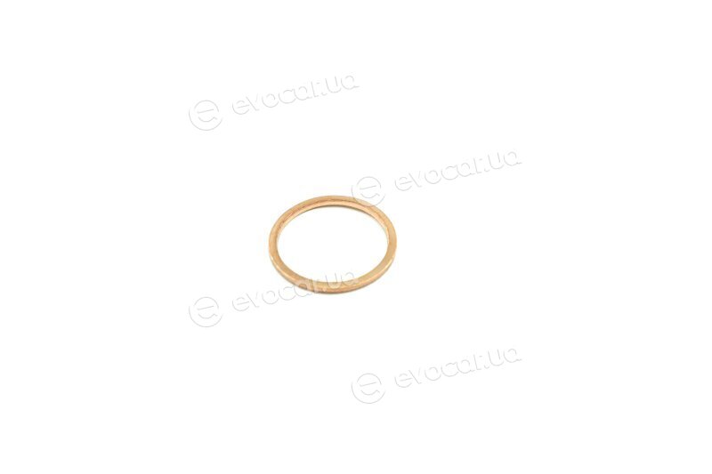 Elring 030.953