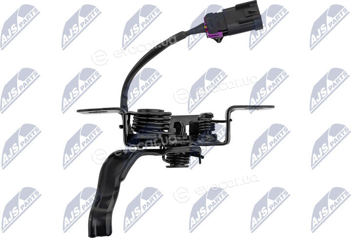 NTY EZC-PL-081
