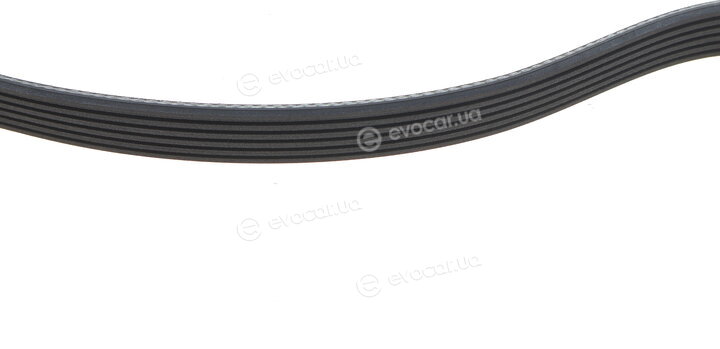 Dayco 6PK2063