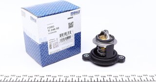 Mahle TI 246 50