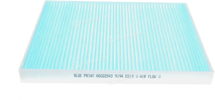 Blue Print ADG02543