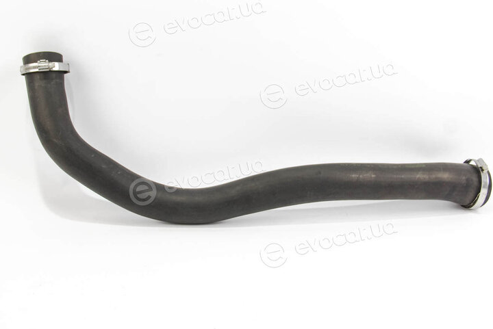 Rapro R18273
