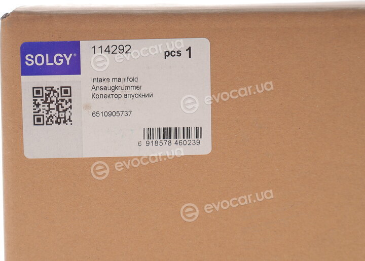 Solgy 114292