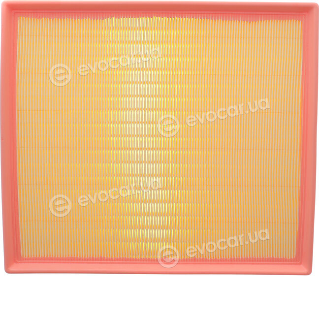 Solgy 103187