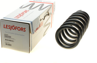 Lesjofors 4059244