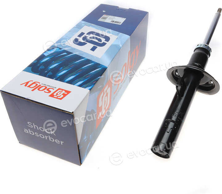 Solgy 211102