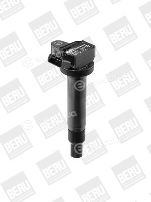 Beru ZSE172