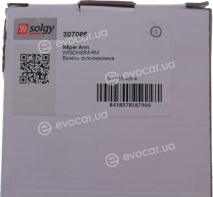 Solgy 307066