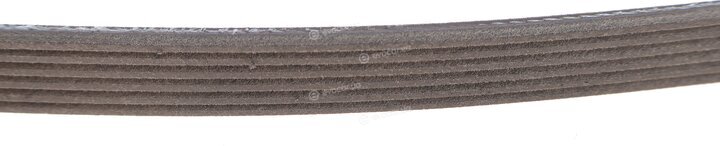 Gates 6PK2518XS