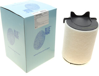 Blue Print ADV182246