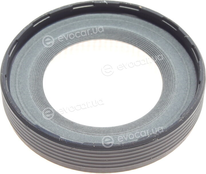 Elring 306.130