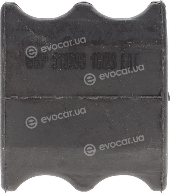 GSP 513298