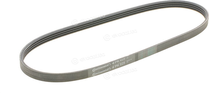 Continental 4PK825