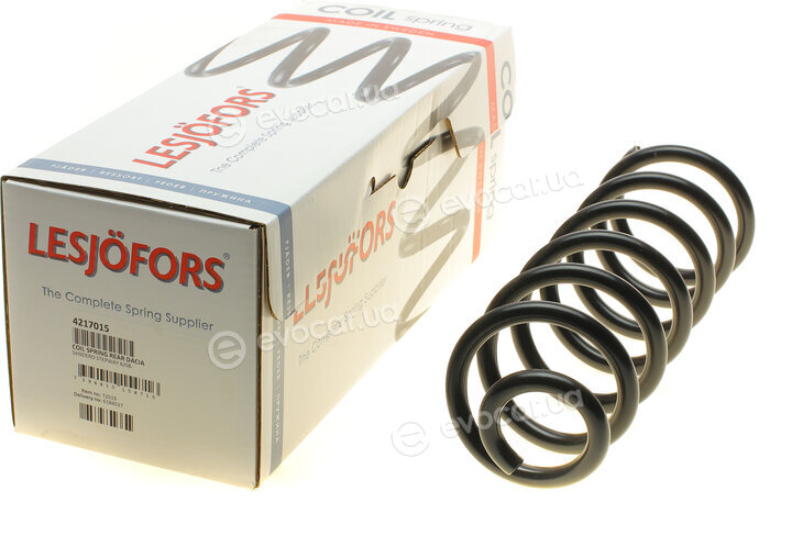 Lesjofors 4217015