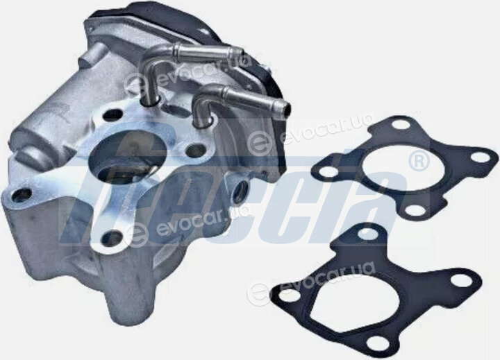 Freccia EGR12-224