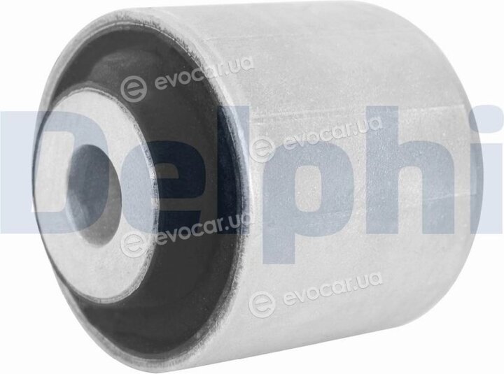 Delphi TD2081W