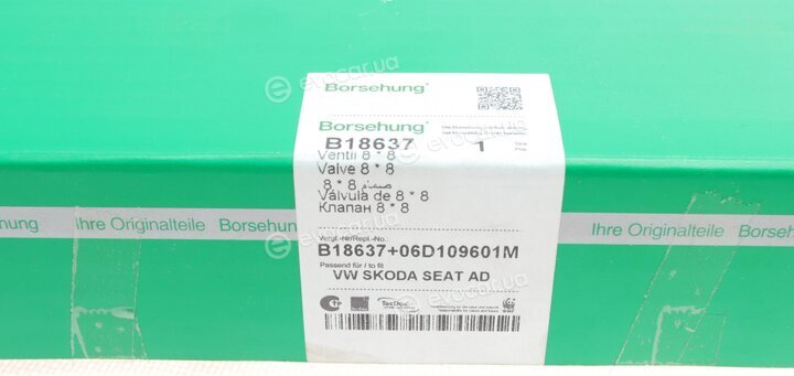 Borsehung B18637