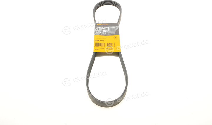 Continental 6PK1020