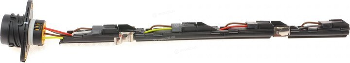 Solgy 412012