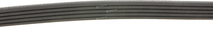 Gates 5PK761SF