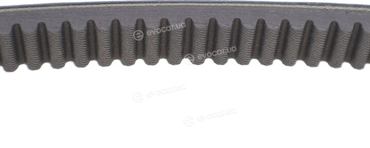 Dayco HP2021