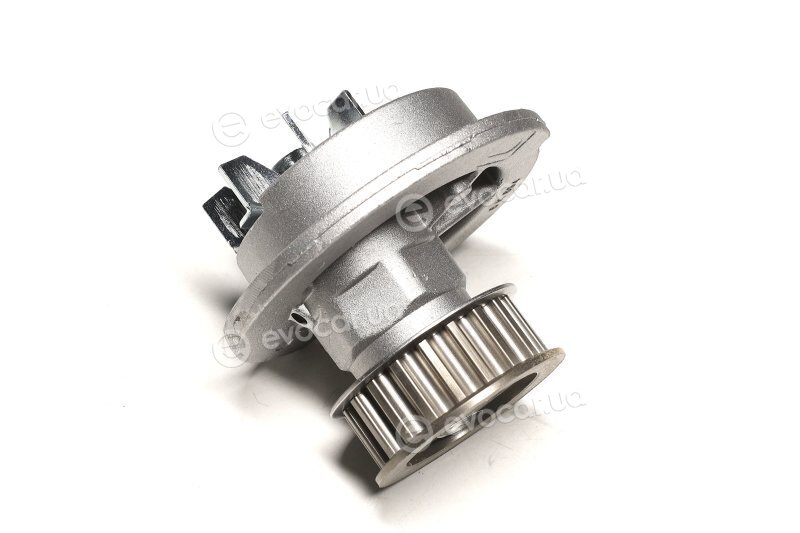 Sasic 3606035