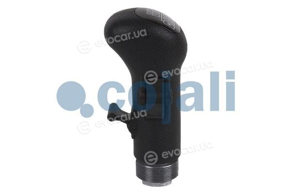 Cojali 2880141