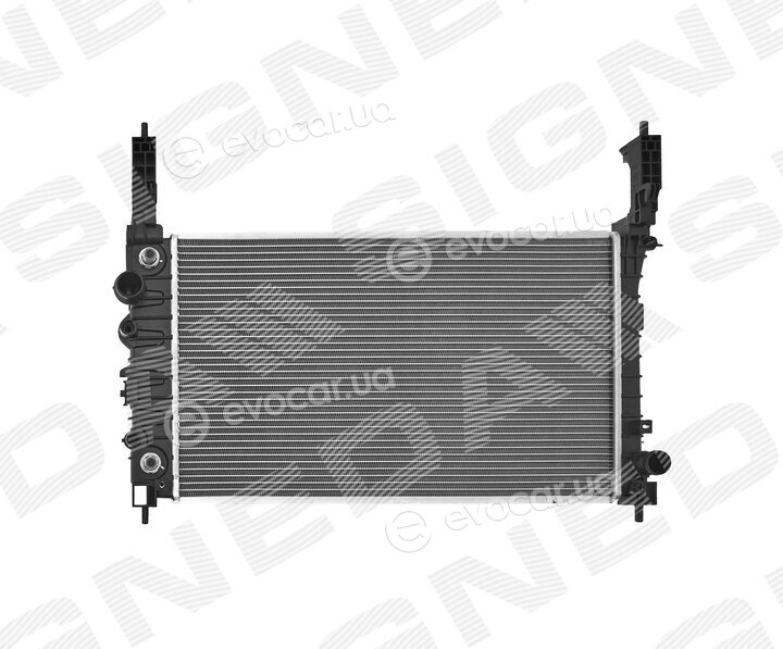 Signeda RA606053Q