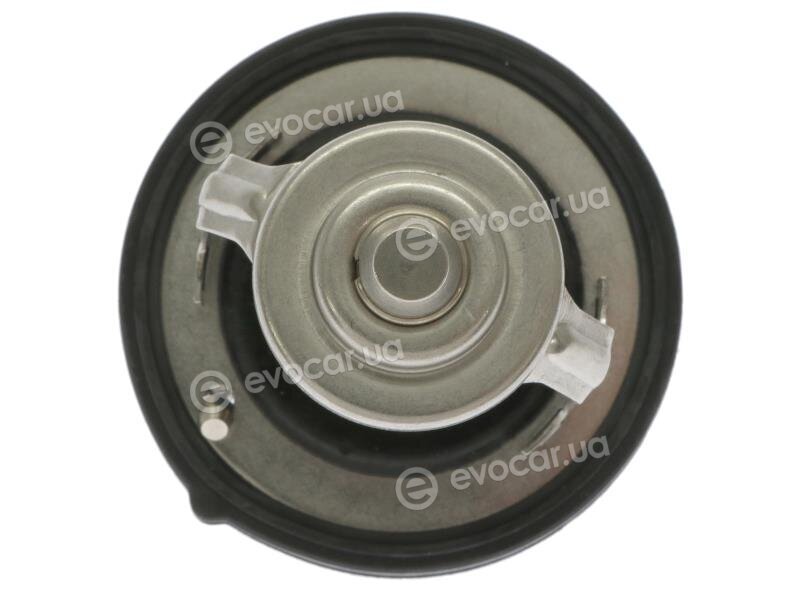 Starline TS T119.82T