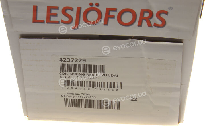 Lesjofors 4237229