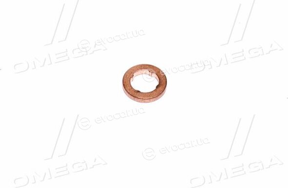 Bosch F 00V P01 008