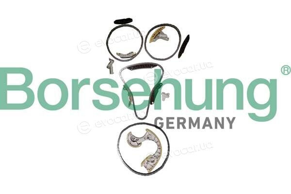 Borsehung B12736